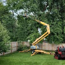 Best Emergency Tree Removal  in Center, CO